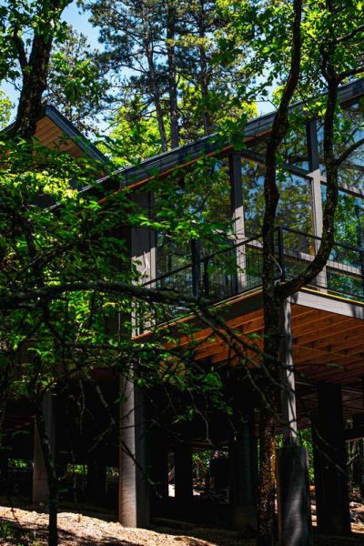 InTheTrees-Cabins-04_800x800.jpg
